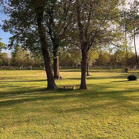 La Maison Tipasa * Saint-Julien-en-Born