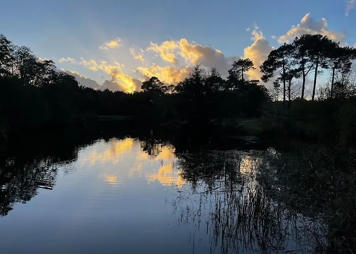 Hébergement de vacances La Maison Tipasa Saint-Julien-en-Born