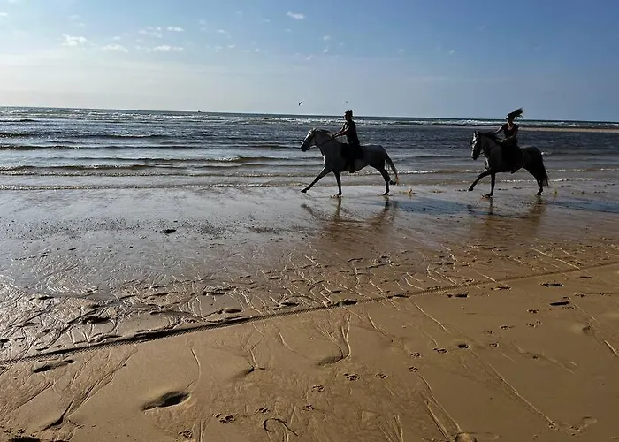 Hébergement de vacances La Maison Tipasa *
