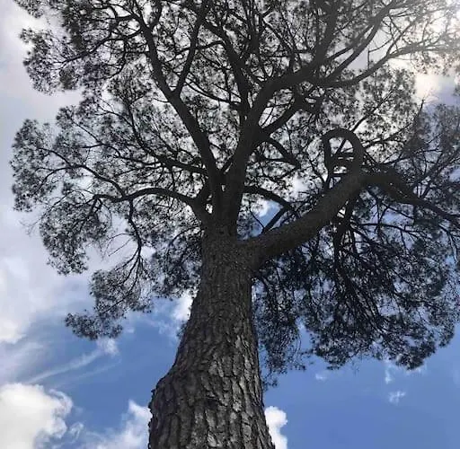 Hébergement de vacances La Maison Tipasa