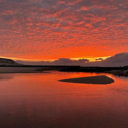 Semesterbostad La Maison Tipasa *