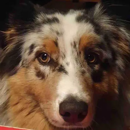 La Maison Tipasa Semesterbostad *