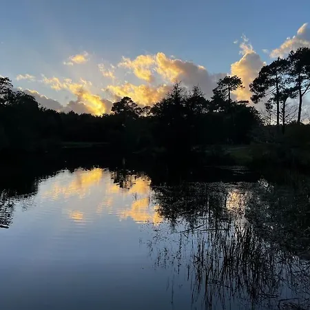 Semesterbostad La Maison Tipasa Saint-Julien-en-Born