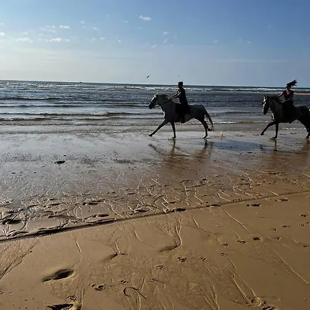 Semesterbostad La Maison Tipasa *