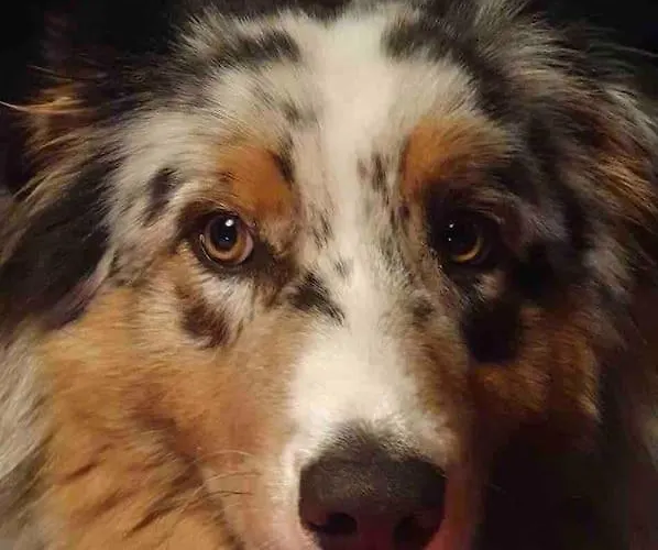 La Maison Tipasa Casa de Férias *